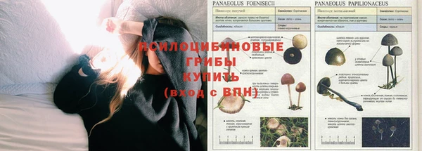мет Алексеевка