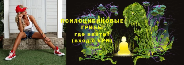 прущий лед Алексин